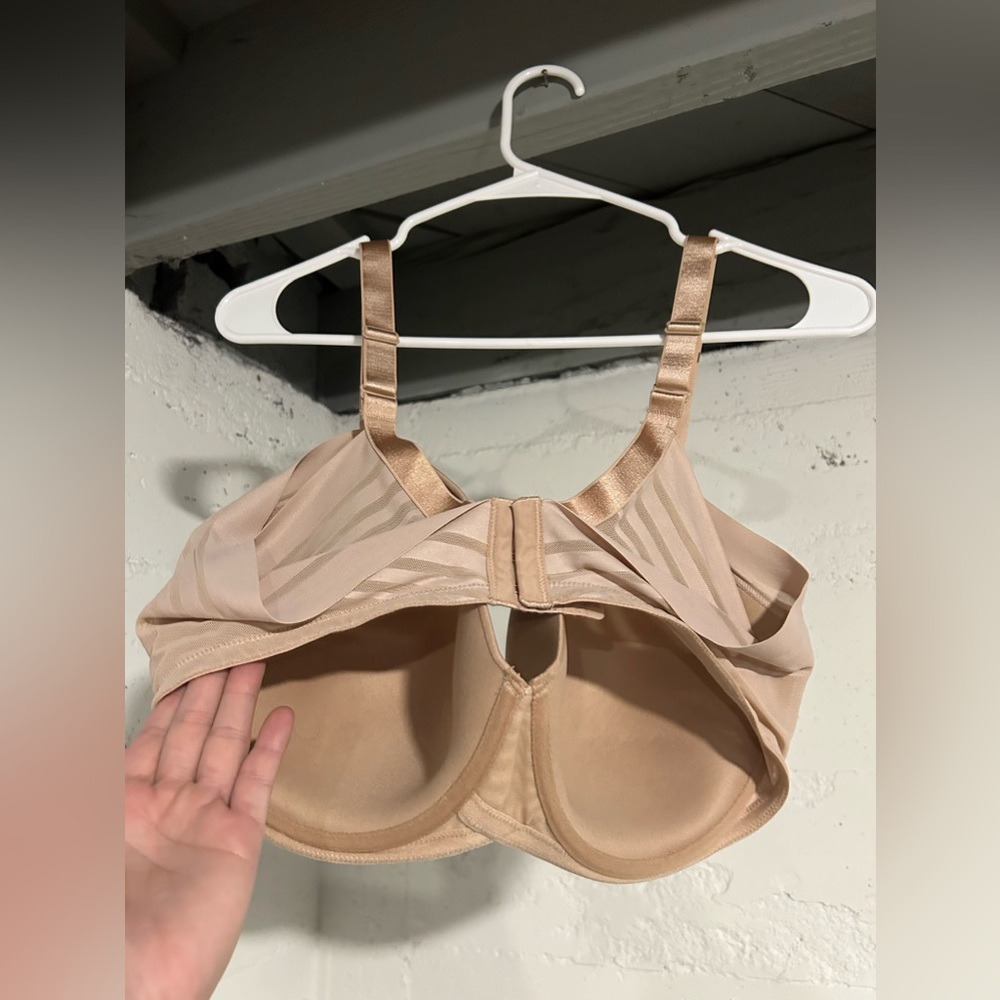 FELINA BRA - Picture 2 of 3